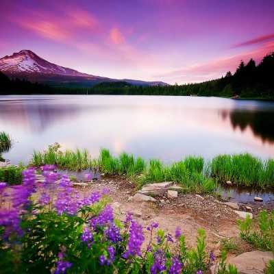 1920 x 1080 HD Wallpapers 1021